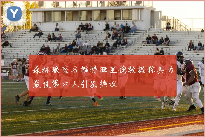 森林狼官方推特晒里德数据称其为最佳第六人引发热议