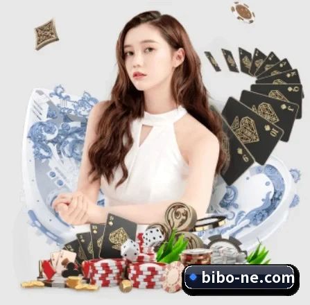 必博的方向（BIBO）